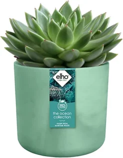 Elho The Ocean Collection 22cm Round Plastic Plant Pot In Pacific Green -Outsunny Garden Zone elho the ocean collection 22cm round plastic plant pot in pacific green8711904516475 04c MP
