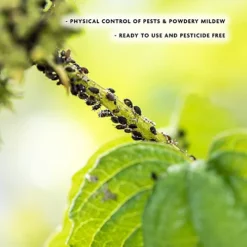 Enviro Works - Rose Protection Defender - 2 X 1L -Outsunny Garden Zone enviro works rose protection defender 2 x 1l5060744382782 03c MP