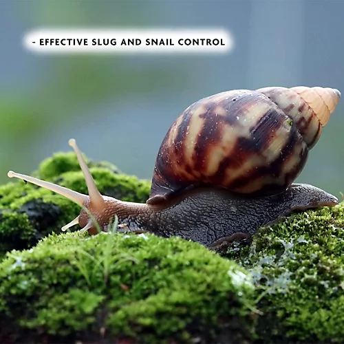 Enviro Works - Slug Killer - 2 Kg Ferrimax Pellets 3 Enviro Works - Slug Killer - 2 Kg Ferrimax Pellets - Image 3