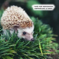 Enviro-works SlugBlast Slug Defence Plant Spray 2 X 1L -Outsunny Garden Zone enviro works slugblast slug defence plant spray 2 x 1l5060744386865 04c MP