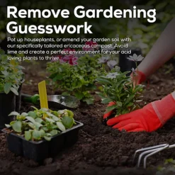 Ericaceous Potting Compost Lime Hating Plants Acidic Soil Rhododendrons - 60L -Outsunny Garden Zone ericaceous potting compost lime hating plants acidic soil rhododendrons 60l5055521177187 03c MP