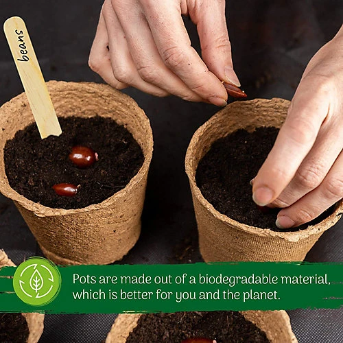 Fibre Biodegradable Pots Round Seedling Plant Pots (100 Pcs X 8 Cm) Large Seed Pots For Growing Plants 3 Fibre Biodegradable Pots Round Seedling Plant Pots (100 Pcs X 8 Cm) Large Seed Pots For Growing Plants - Image 3