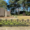 Fleur De Lys Black Plastic Lawn Edging (60cm X 32cm) - 10 Panels