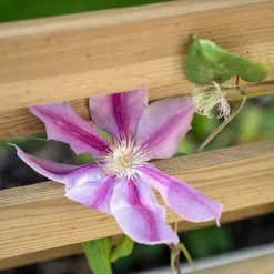 Forest Garden Living Screen Natural Timber Rectangular Planter (H) 180cm X (W) 90cm -Outsunny Garden Zone forest garden living screen natural timber rectangular planter h 180cm x w 90cm5013053190227 02i