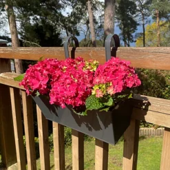 French Grey Balcony Hanging Planters (Set Of 2)