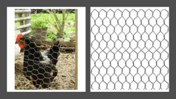 Galvanised Chicken Wire Mesh Rabbit Run Chicken Coop Fencing 5M X 0.6M X 13MM -Outsunny Garden Zone galvanised chicken wire mesh rabbit run chicken coop fencing 5m x 0 6m x 13mm5017193273598 03c MP