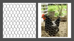 Galvanised Chicken Wire Mesh Rabbit Run Chicken Coop Fencing 5M X 0.6M X 50MM -Outsunny Garden Zone galvanised chicken wire mesh rabbit run chicken coop fencing 5m x 0 6m x 50mm5017193273628 03c MP