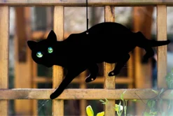 Garden Bird Cat Animal Small Mammal Life Size Scaring Device Reflective Deterant -Outsunny Garden Zone garden bird cat animal small mammal life size scaring device reflective deterant5021196016649 03c MP