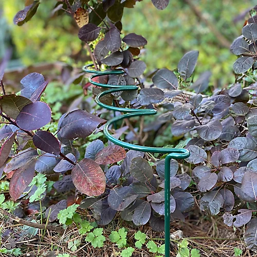 Garden Extra Wide Multi-Hoop Plant Bow Support System 60cm X 40cm (Pack Of 10) 2 Garden Extra Wide Multi-Hoop Plant Bow Support System 60cm X 40cm (Pack Of 10) - Image 2