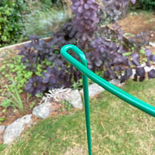 Garden Hoop Plant Bow Support System 45cm X 60cm (Pack Of 10) 4 Garden Hoop Plant Bow Support System 45cm X 60cm (Pack Of 10) - Image 4