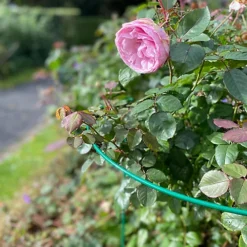 Garden Hoop Plant Bow Support System 45cm X 60cm (Pack Of 6) -Outsunny Garden Zone garden hoop plant bow support system 45cm x 60cm pack of 6 5060575107554 03c MP