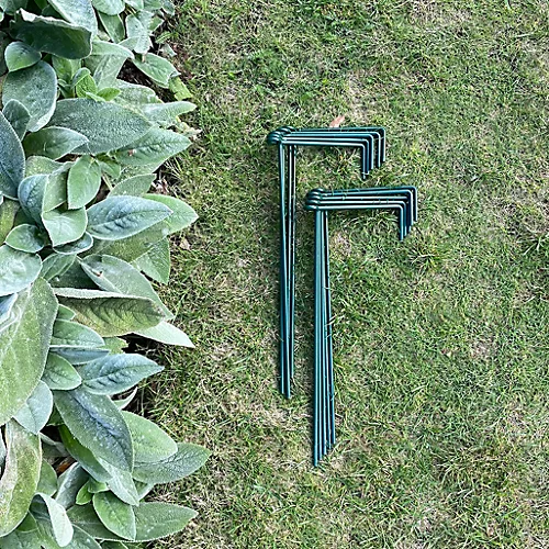 Garden Linked Metal Plant Support For Herbaceous Plants 35cm X 15cm (Pack Of 10) 2 Garden Linked Metal Plant Support For Herbaceous Plants 35cm X 15cm (Pack Of 10) - Image 2