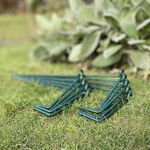 Garden Linked Metal Plant Support For Herbaceous Plants 35cm X 15cm (Pack Of 10) 3 Garden Linked Metal Plant Support For Herbaceous Plants 35cm X 15cm (Pack Of 10) - Image 3
