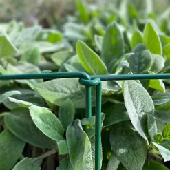 Garden Linked Metal Plant Support For Herbaceous Plants 35cm X 15cm (Pack Of 10) 7 Garden Linked Metal Plant Support For Herbaceous Plants 35cm X 15cm (Pack Of 10) -Outsunny Garden Zone garden linked metal plant support for herbaceous plants 35cm x 15cm pack of 10 5060575102573 04c MP