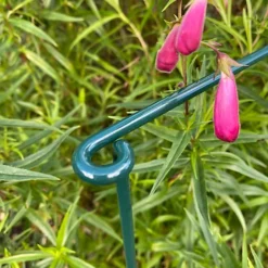 Garden Linked Metal Plant Support For Herbaceous Plants 50cm X 20cm (Pack Of 10) -Outsunny Garden Zone garden linked metal plant support for herbaceous plants 50cm x 20cm pack of 10 5060575102566 04c MP