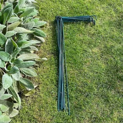 Garden Linked Metal Plant Support For Herbaceous Plants 70cm X 30cm (Pack Of 10) -Outsunny Garden Zone garden linked metal plant support for herbaceous plants 70cm x 30cm pack of 10 5060575102559 03c MP