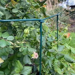 Garden Linked Metal Plant Support For Herbaceous Plants 70cm X 30cm (Pack Of 10) -Outsunny Garden Zone garden linked metal plant support for herbaceous plants 70cm x 30cm pack of 10 5060575102559 04c MP