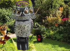 Garden Outdoor Life Sized Bird Cat Small Animal Mammal Scaring Device Deterant 6 Garden Outdoor Life Sized Bird Cat Small Animal Mammal Scaring Device Deterant -Outsunny Garden Zone garden outdoor life sized bird cat small animal mammal scaring device deterant5021196016434 03c MP