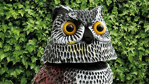 Garden Outdoor Life Sized Bird Cat Small Animal Mammal Scaring Device Deterant 4 Garden Outdoor Life Sized Bird Cat Small Animal Mammal Scaring Device Deterant - Image 4