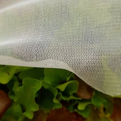 GardenSkill Fine Insect Mesh Carrot Vegetable Plant Protection Netting , 0.6mm Dia, 1.5m X 10m L