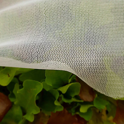 GardenSkill Fine Insect Mesh Carrot Vegetable Plant Protection Netting , 0.6mm Dia, 1.5m X 5m L 1 GardenSkill Fine Insect Mesh Carrot Vegetable Plant Protection Netting , 0.6mm Dia, 1.5m X 5m L