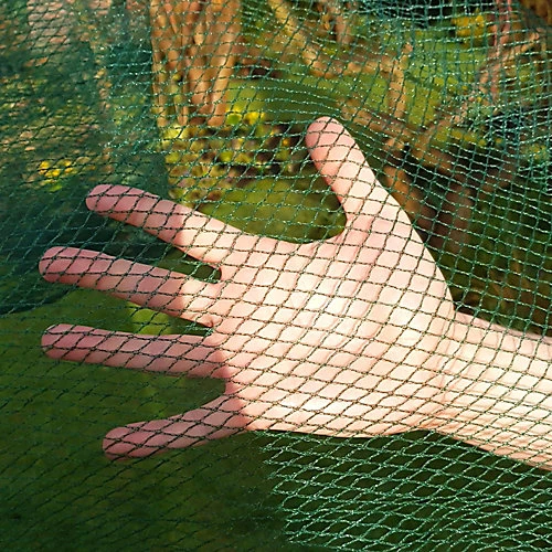 GardenSkill Soft Butterfly & Insect Mesh Netting For Cabbages Brassicas Grow Houses 6m X 5m 3 GardenSkill Soft Butterfly & Insect Mesh Netting For Cabbages Brassicas Grow Houses 6m X 5m - Image 3