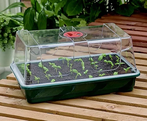 Garland FAB4 Electric Propagator 2 Garland FAB4 Electric Propagator - Image 2