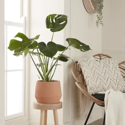 GoodHome Lummi Beige Terracotta Slanting Stripes Circular Plant Pot (Dia)23.5cm -Outsunny Garden Zone goodhome lummi beige terracotta slanting stripes circular plant pot dia 23 5cm5059340327914 01i