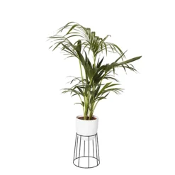 GoodHome Metal Pot Stand -Outsunny Garden Zone goodhome metal pot stand3663602442387 21c bq