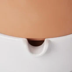 GoodHome Terracotta & White Terracotta Circular Plant Pot (Dia)22.8cm -Outsunny Garden Zone goodhome terracotta white terracotta circular plant pot dia 22 8cm3663602441328 36c bq