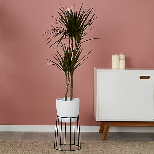 GoodHome White Ceramic Circular Plant Pot (Dia)21.5cm 3 GoodHome White Ceramic Circular Plant Pot (Dia)21.5cm - Image 3