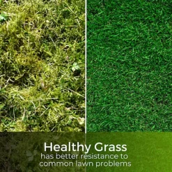 Green Machine - Liquid Iron Sulphate 1L -Outsunny Garden Zone green machine liquid iron sulphate 1l5065007977859 04c MP