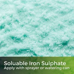 Green Snow - Iron Sulphate 1kg (1000m²) -Outsunny Garden Zone green snow iron sulphate 1kg 1000m 5065007977910 03c MP
