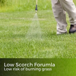 Green Snow - Iron Sulphate 1kg (1000m²) -Outsunny Garden Zone green snow iron sulphate 1kg 1000m 5065007977910 04c MP