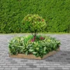 Greena Hexagonal Raised Bed 15 Cm High, 120cm Each Side
