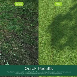 Ground Master Premium General Purpose Grass Seed - High-Quality Seed For Lush And Healthy Lawns (25KG) -Outsunny Garden Zone ground master premium general purpose grass seed high quality seed for lush and healthy lawns 25kg 5051644111480 04c MP