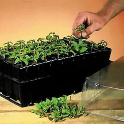 Haxnicks Deep Rootrainer 5 Haxnicks Deep Rootrainer -Outsunny Garden Zone haxnicks deep rootrainer0651609107012 01i