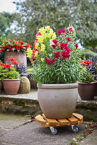 Heavy Duty Round Traditional Wood Garden Patio Plant Flower Pot Stand Caddy Trolley On Strong Metal Castor Wheels 40cm 2 Heavy Duty Round Traditional Wood Garden Patio Plant Flower Pot Stand Caddy Trolley On Strong Metal Castor Wheels 40cm - Image 2