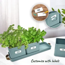 Herb Pots For Kitchen Windowsill With Leather Handles Ideal For Growing Indoor Plants With Tray (Teal Blue) 6 Herb Pots For Kitchen Windowsill With Leather Handles Ideal For Growing Indoor Plants With Tray (Teal Blue) -Outsunny Garden Zone herb pots for kitchen windowsill with leather handles ideal for growing indoor plants with tray teal blue 5060766073736 03c MP