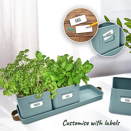 Herb Pots For Kitchen Windowsill With Leather Handles Ideal For Growing Indoor Plants With Tray (Teal Blue) 3 Herb Pots For Kitchen Windowsill With Leather Handles Ideal For Growing Indoor Plants With Tray (Teal Blue) - Image 3