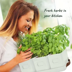 Herb Pots For Kitchen Windowsill With Leather Handles Ideal For Growing Indoor Plants With Tray (Warm Stone) -Outsunny Garden Zone herb pots for kitchen windowsill with leather handles ideal for growing indoor plants with tray warm stone 5060766073729 03c MP