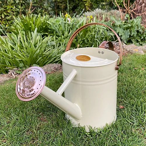 Heritage Cream & Copper Watering Can (3.5 Litre) 1 Heritage Cream & Copper Watering Can (3.5 Litre)