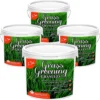Homefront Grass Greening Granules Lawn Fertiliser - Strengthens, Greens And Creates Healthier Grass 10kg