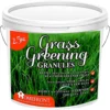 Homefront Grass Greening Granules Lawn Fertiliser - Strengthens, Greens And Creates Healthier Grass 2.5kg