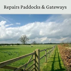 Horse Paddock Grass Seeds - Fast Growing Grass Seed For Repairs On Pastures & Gateways - Ultra Hard Wearing - 10kg - Garden 6 Horse Paddock Grass Seeds - Fast Growing Grass Seed For Repairs On Pastures & Gateways - Ultra Hard Wearing - 10kg - Garden -Outsunny Garden Zone horse paddock grass seeds fast growing grass seed for repairs on pastures gateways ultra hard wearing 10kg garden5060989690178 03c MP