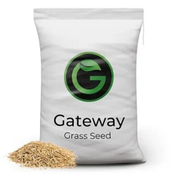 Horse Paddock Grass Seeds - Fast Growing Grass Seed For Repairs On Pastures & Gateways - Ultra Hard Wearing - 20kg - Garden