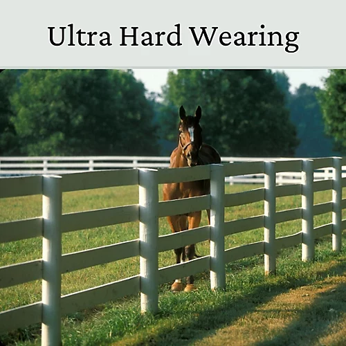 Horse Paddock Grass Seeds - Fast Growing Grass Seed For Repairs On Pastures & Gateways - Ultra Hard Wearing - 20kg - Garden 3 Horse Paddock Grass Seeds - Fast Growing Grass Seed For Repairs On Pastures & Gateways - Ultra Hard Wearing - 20kg - Garden - Image 3