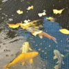 Hozelock Polyester Pond Cover Net 0.23x0.11m