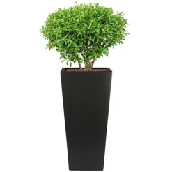 IDEALIST Black Light Concrete Garden Tall Planter, Outdoor Plant Pot With Tapered Shape H38.5 L18.5 W18.5 Cm, 13L -Outsunny Garden Zone idealist black light concrete garden tall planter outdoor plant pot with tapered shape h38 5 l18 5 w18 5 cm 13l5060874790044 03c MP