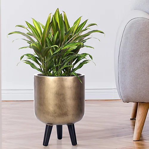 IDEALIST Concrete Effect Gold Round Planter With Legs, Round Indoor Plant Pot Stand For Indoor Plants D25 H34 Cm, 9L 1 IDEALIST Concrete Effect Gold Round Planter With Legs, Round Indoor Plant Pot Stand For Indoor Plants D25 H34 Cm, 9L